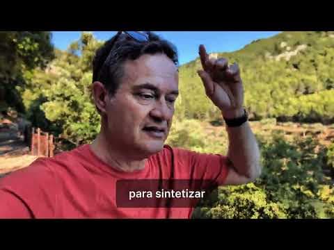 LiderazgoB2B | Presentación